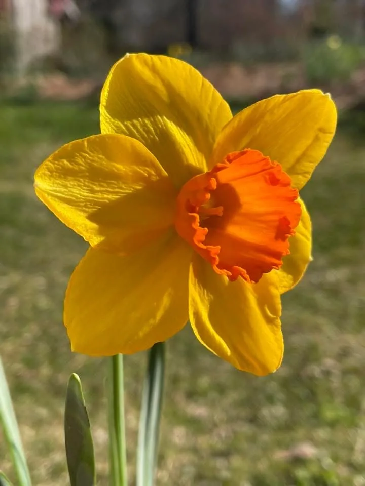 Warm Day specimen image